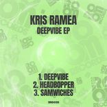 Artwork for "Deepvibe EP"