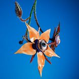 God Is The Space Between Us