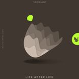 Artwork for "Life After Life"