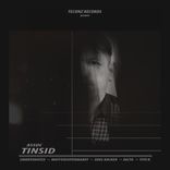Artwork für "Tinsid"