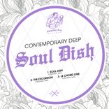 Artwork voor "Soul Dish"