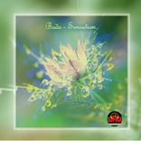 Artwork for "Sensation"