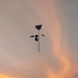 Artwork for "Lonely Terrace"