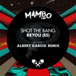 Artwork for "Shot the Bang"