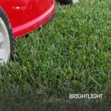 Portada para "Lawn Mower Symphony"