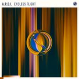 Artwork for "Endless Flight"