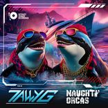 Naughty Orcas