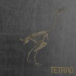 Artwork for "TETRAO V / Volumen II"