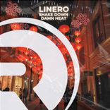 Artwork voor "Damn Heat"