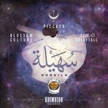 Portada para "Suhaila"