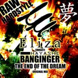 Artwork for "The End of The Dream"