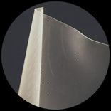 Artwork voor "Physarum LP"