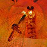 Artwork for "La Mort de la Phalène"