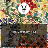 Artwork for "The 12 Monkeys"
