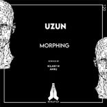 Artwork for "Morphing"