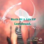 Artwork for "Birth Of A Life"