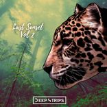 Artwork voor "Last Sunset, Vol. 2"