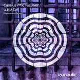 Artwork for "Wild Cat (Stygmalibra Remix)"