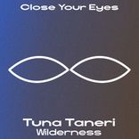 Artwork for "Wilderness"