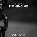 Artwork for "Pushing Me"