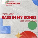 Artwork for "Bass in my bones"