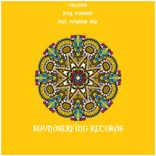 Artwork für "Frog Traveler"