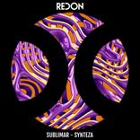 Artwork for "Synteza"