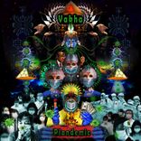 Portada para "Plandemic"