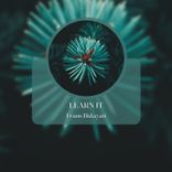 Portada para "Learn It"