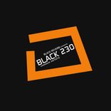 Artwork for "Black 230"
