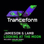 Artwork for "Looking At The Moon Remixes"