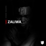 Artwork for "Zaliwa"