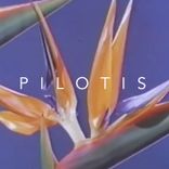 Portada para "Pilotis"