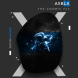 Artwork voor "The Cosmic Fly"