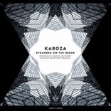 Stranded on the Moon