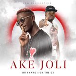 Artwork for "Ake Joli"