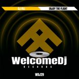 Artwork für "Enjoy the Flight"