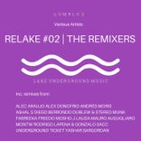 Artwork für "ReLake 02"