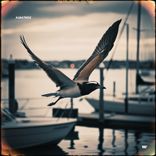 Artwork für "Albatroz (2024 Remastered)"