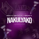 Artwork voor "Nakulyako"