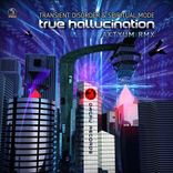 Artwork voor "True Hallucination (Aktyum Remix)"