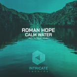 Artwork for "Calm Water"