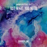 Portada para "Got What You Need"