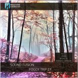 Artwork voor "Foggy Trip"