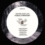 Artwork for "Vibes Symphony EP"