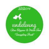 Portada para "Smuggling Funk"