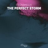 Portada para "The Perfect Storm"