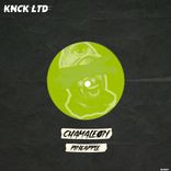 Artwork voor "Pineapple"