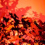 Artwork for "Lado A"