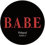 Artwork for "From The Ashes"